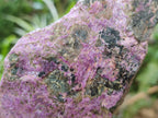 Natural Cobbed Stichtite Specimens x 12 From Barberton, South Africa - Toprock Gemstones and Minerals 