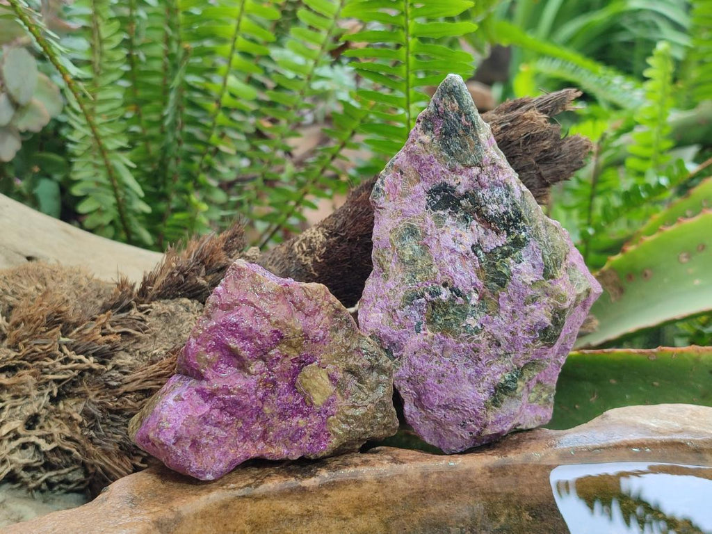 Natural Cobbed Stichtite Specimens x 12 From Barberton, South Africa - Toprock Gemstones and Minerals 