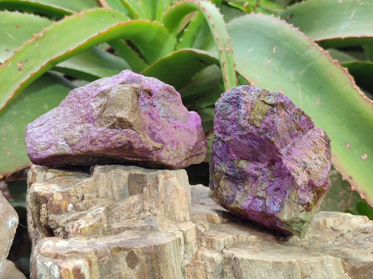 Natural Cobbed Stichtite Specimens x 12 From Barberton, South Africa - Toprock Gemstones and Minerals 