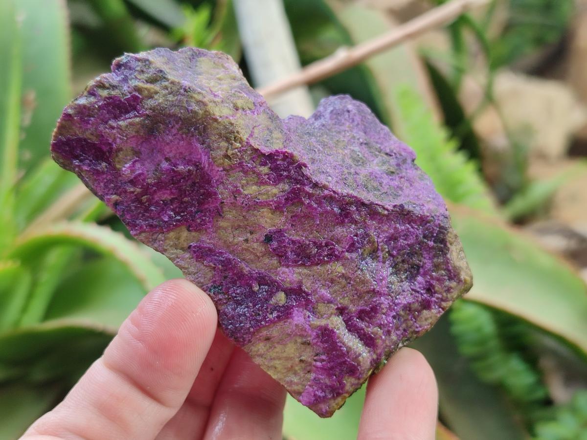 Natural Cobbed Stichtite Specimens x 12 From Barberton, South Africa - Toprock Gemstones and Minerals 