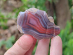 Polished One Side Red Shashe River Agate Nodules x 35 From Shashe River, Zimbabwe - Toprock Gemstones and Minerals 