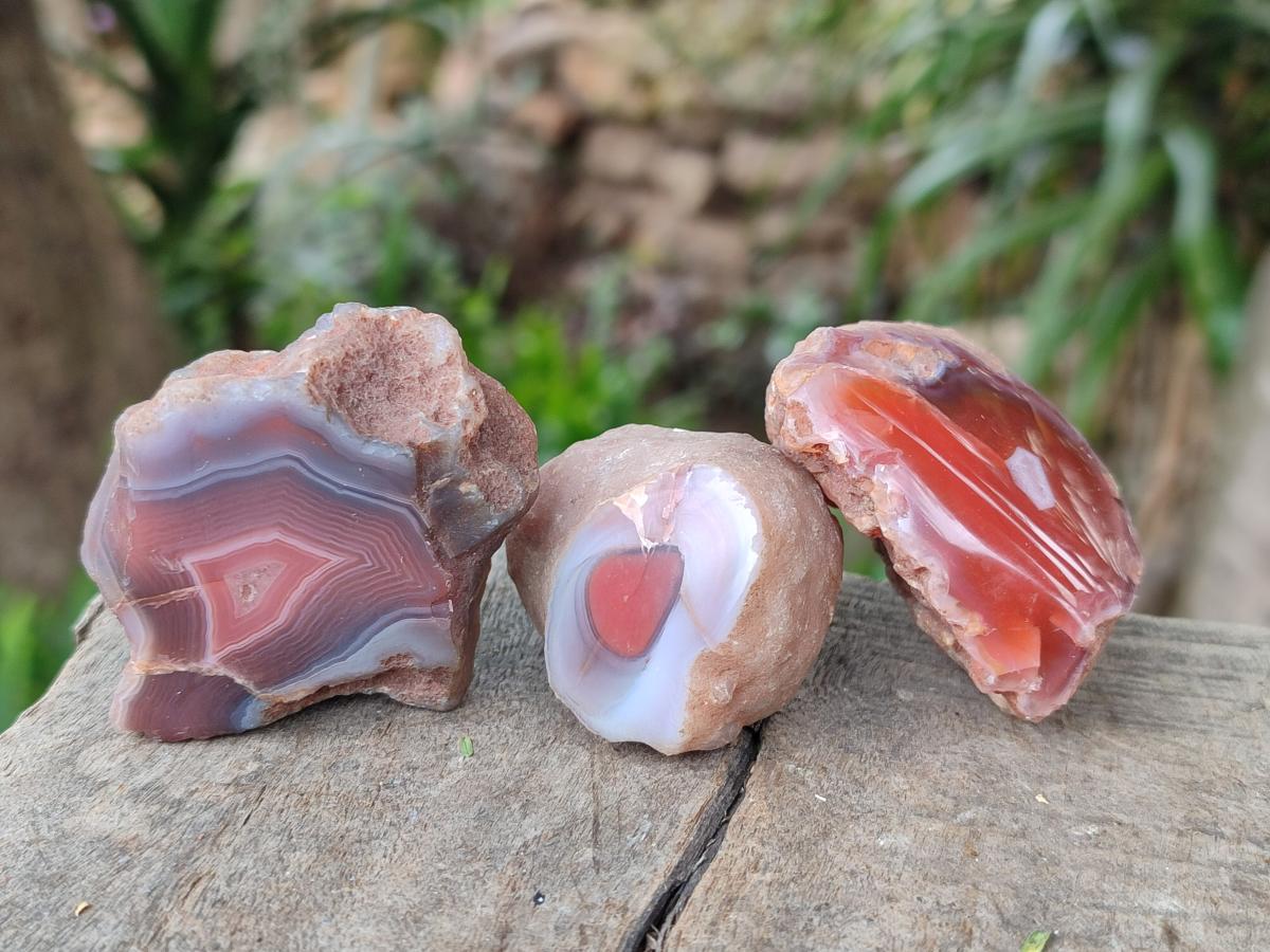 Polished One Side Red Shashe River Agate Nodules x 35 From Shashe River, Zimbabwe - Toprock Gemstones and Minerals 