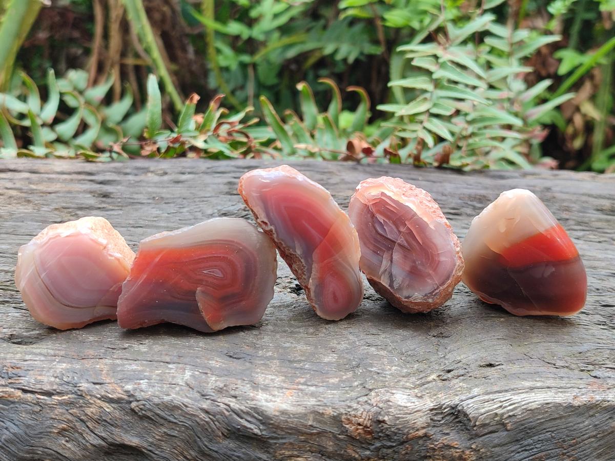 Polished One Side Red Shashe River Agate Nodules x 35 From Shashe River, Zimbabwe - Toprock Gemstones and Minerals 
