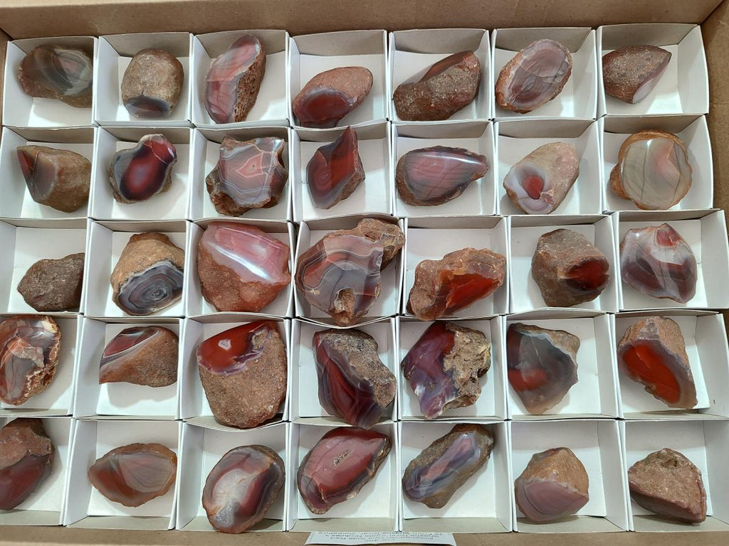 Polished One Side Red Shashe River Agate Nodules x 35 From Shashe River, Zimbabwe - Toprock Gemstones and Minerals 