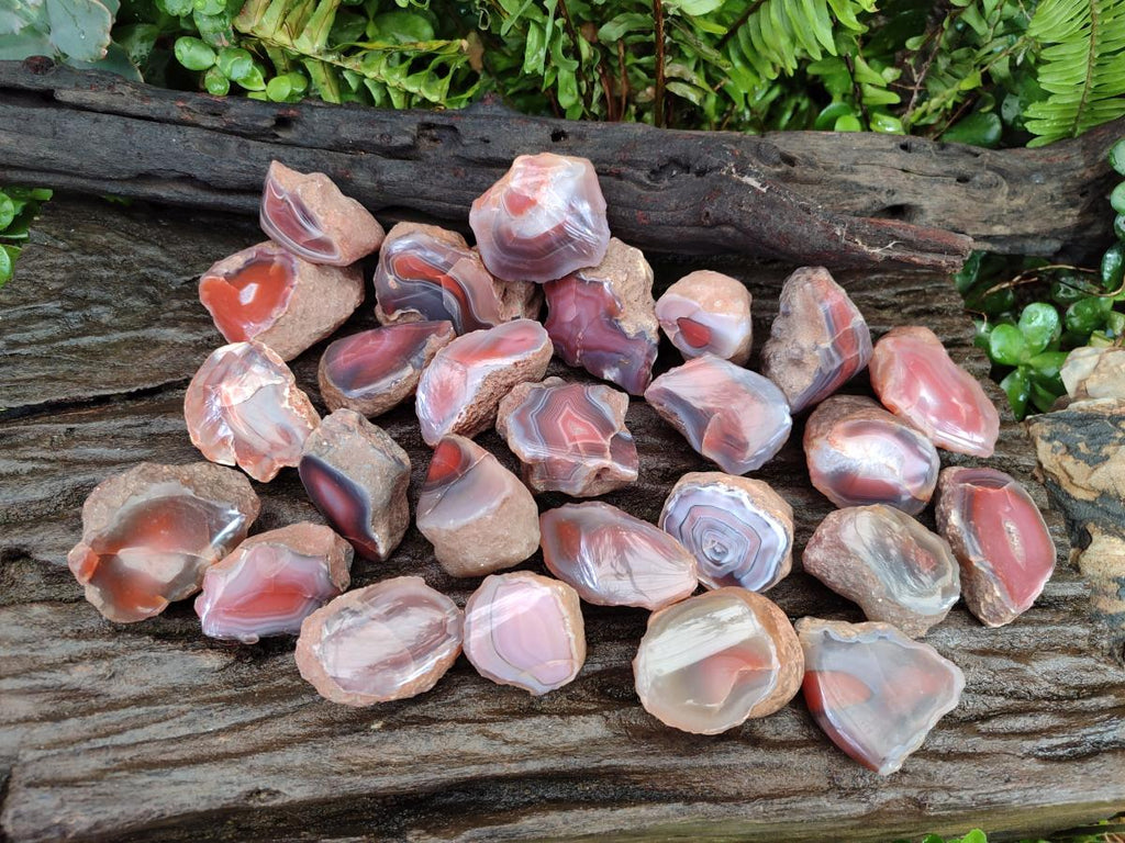 Polished One Side Red Shashe River Agate Nodules x 35 From Shashe River, Zimbabwe - Toprock Gemstones and Minerals 