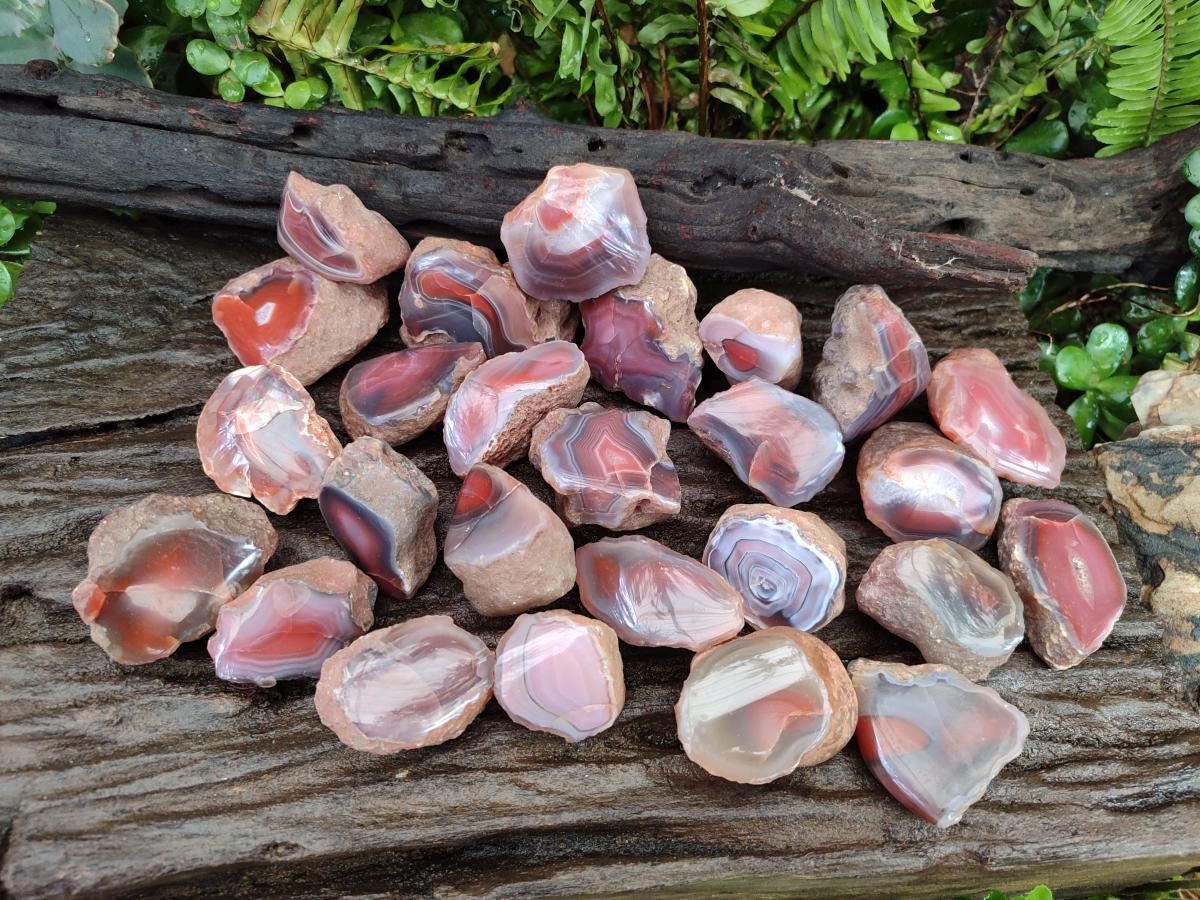 Polished One Side Red Shashe River Agate Nodules x 35 From Shashe River, Zimbabwe - Toprock Gemstones and Minerals 