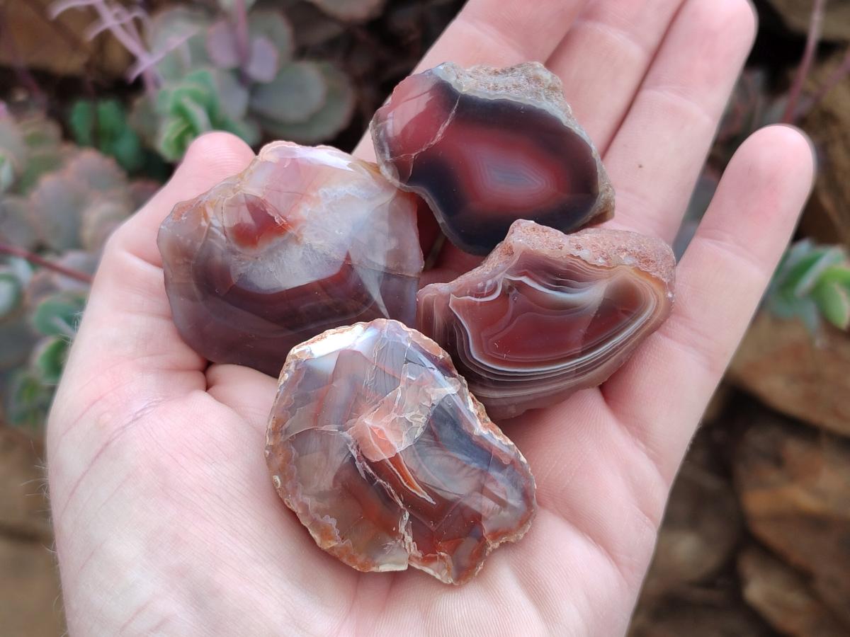 Polished One Side Red Shashe River Agate Nodules x 35 From Shashe River, Zimbabwe - Toprock Gemstones and Minerals 