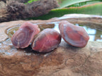 Polished One Side Red Shashe River Agate Nodules x 35 From Shashe River, Zimbabwe - Toprock Gemstones and Minerals 