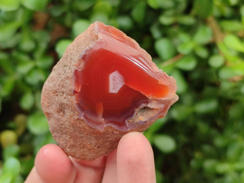 Polished One Side Red Shashe River Agate Nodules x 35 From Shashe River, Zimbabwe - Toprock Gemstones and Minerals 