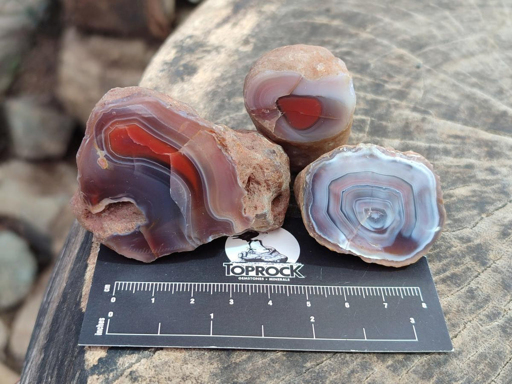 Polished One Side Red Shashe River Agate Nodules x 35 From Shashe River, Zimbabwe - Toprock Gemstones and Minerals 