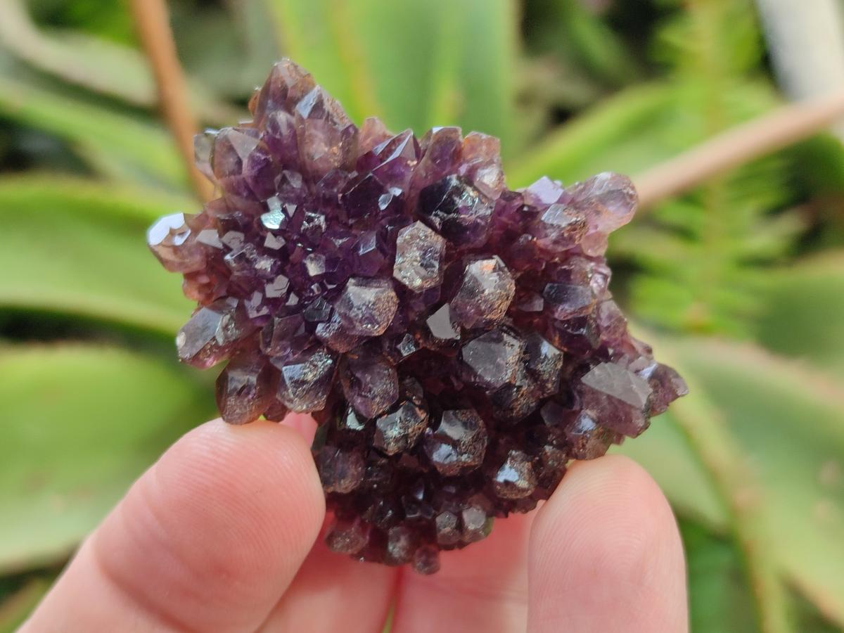 Natural Dark and Chevron Amethyst Clusters x 32 From Mapatizya, Zambia - Toprock Gemstones and Minerals 
