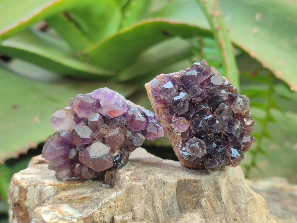 Natural Dark and Chevron Amethyst Clusters x 32 From Mapatizya, Zambia - Toprock Gemstones and Minerals 