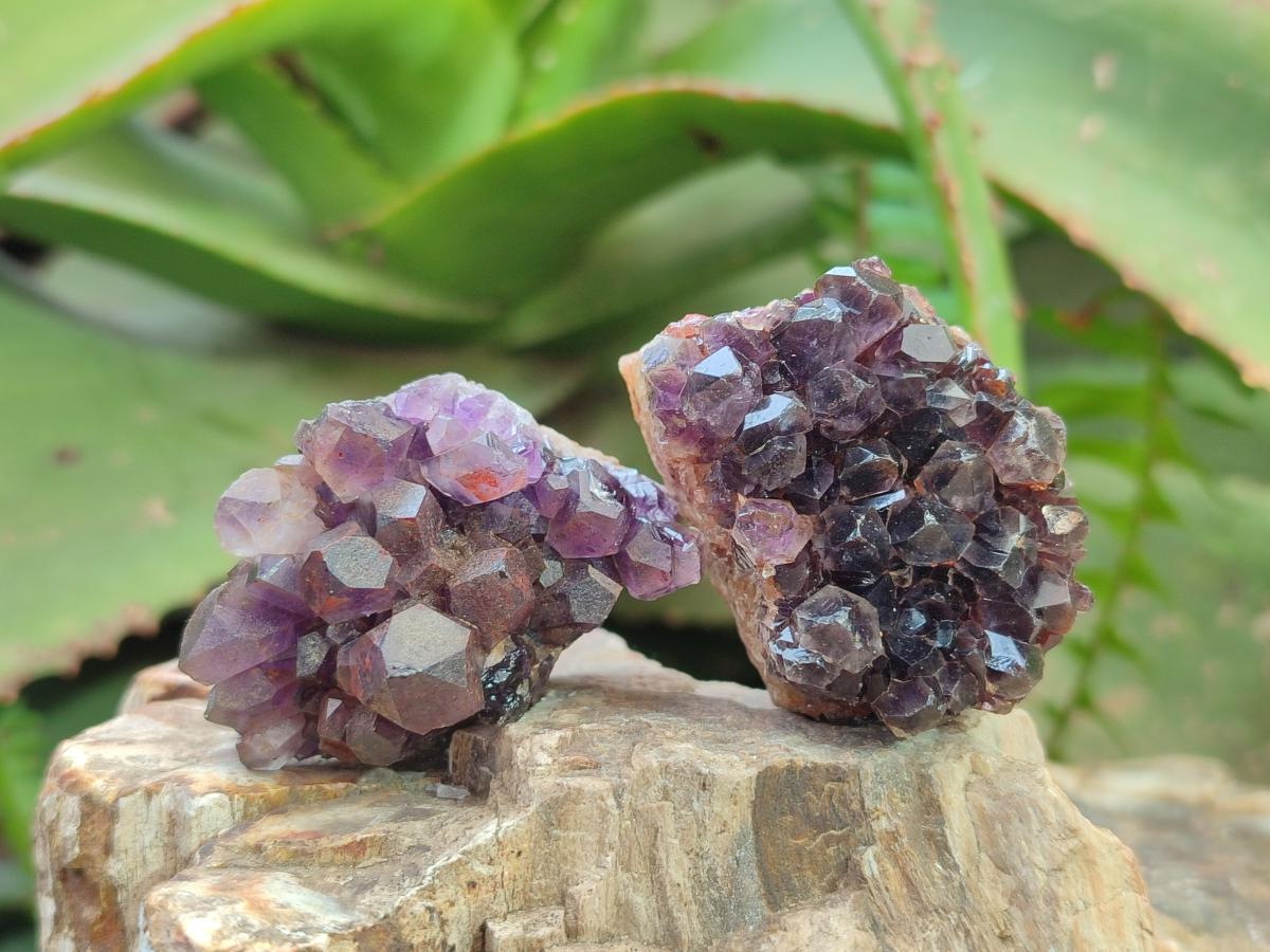Natural Dark and Chevron Amethyst Clusters x 32 From Mapatizya, Zambia - Toprock Gemstones and Minerals 