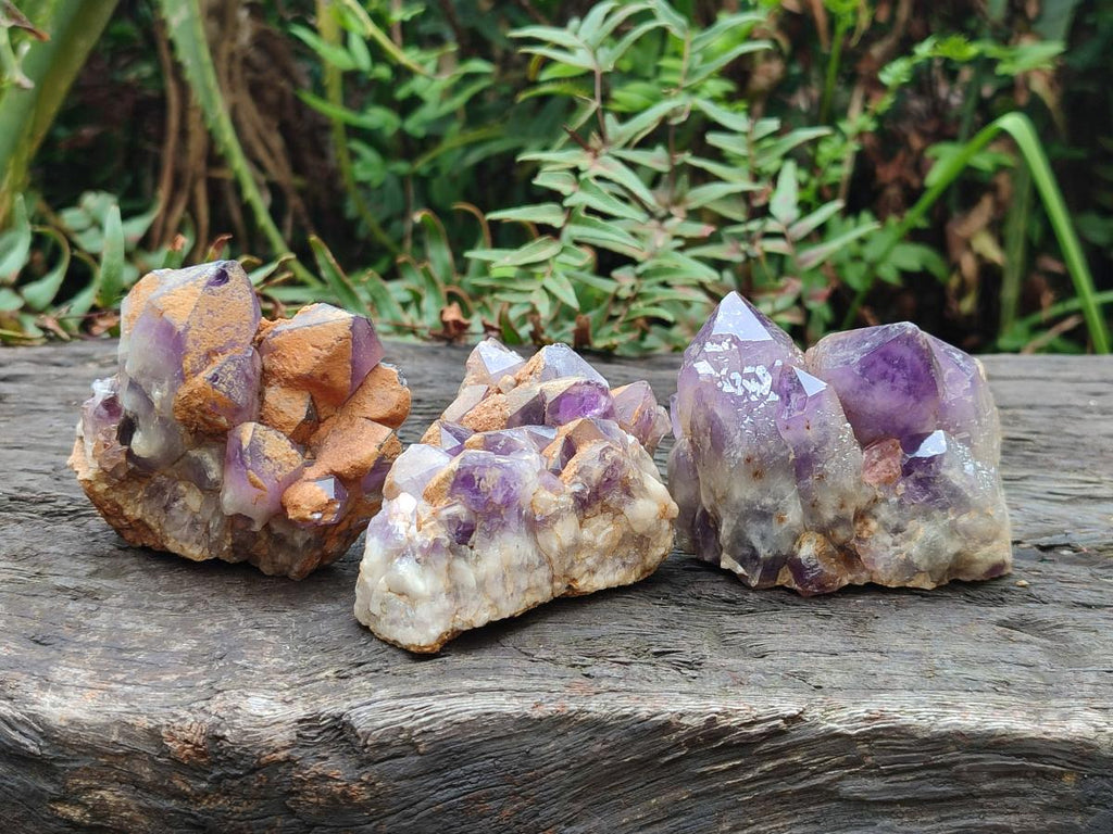 Natural Dark and Chevron Amethyst Clusters x 32 From Mapatizya, Zambia - Toprock Gemstones and Minerals 