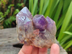 Natural Dark and Chevron Amethyst Clusters x 32 From Mapatizya, Zambia - Toprock Gemstones and Minerals 