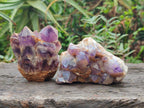 Natural Dark and Chevron Amethyst Clusters x 32 From Mapatizya, Zambia - Toprock Gemstones and Minerals 