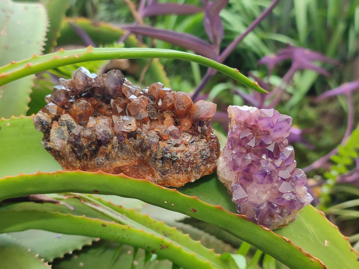 Natural Dark and Chevron Amethyst Clusters x 32 From Mapatizya, Zambia - Toprock Gemstones and Minerals 