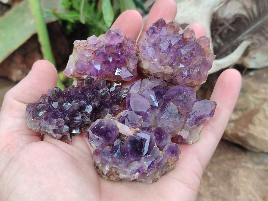 Natural Dark and Chevron Amethyst Clusters x 32 From Mapatizya, Zambia - Toprock Gemstones and Minerals 