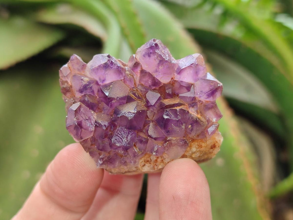 Natural Dark and Chevron Amethyst Clusters x 32 From Mapatizya, Zambia - Toprock Gemstones and Minerals 