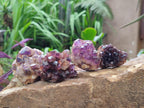 Natural Dark and Chevron Amethyst Clusters x 32 From Mapatizya, Zambia - Toprock Gemstones and Minerals 