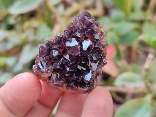 Natural Dark and Chevron Amethyst Clusters x 32 From Mapatizya, Zambia - Toprock Gemstones and Minerals 