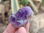 Natural Dark and Chevron Amethyst Clusters x 32 From Mapatizya, Zambia - Toprock Gemstones and Minerals 