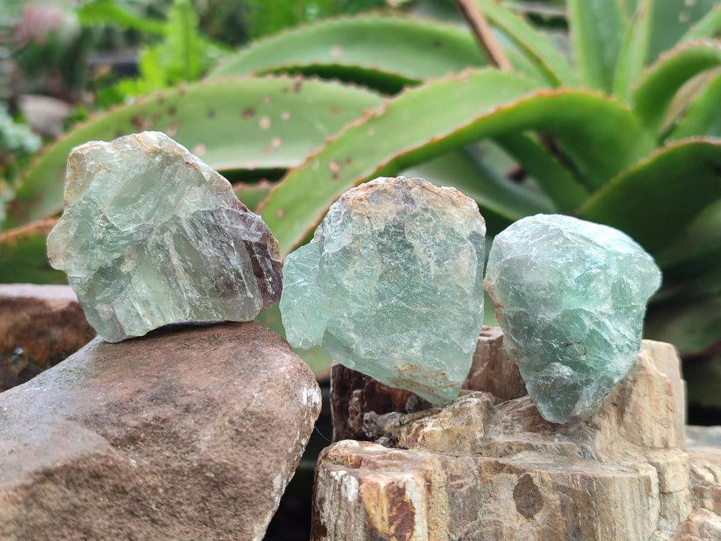 Natural Watermelon Fluorite Cobbed Specimens x 4.92 Kg Lot From Uis, Namibia - Toprock Gemstones and Minerals 