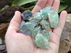 Natural Watermelon Fluorite Cobbed Specimens x 4.92 Kg Lot From Uis, Namibia - Toprock Gemstones and Minerals 