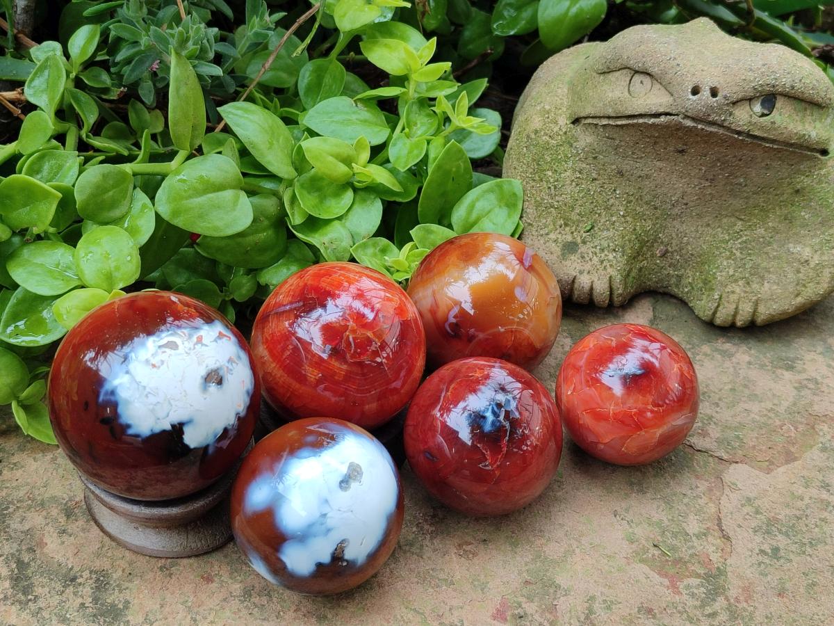 Polished Carnelian Agate Gemstone Spheres x 6 From Madagascar - Toprock Gemstones and Minerals 