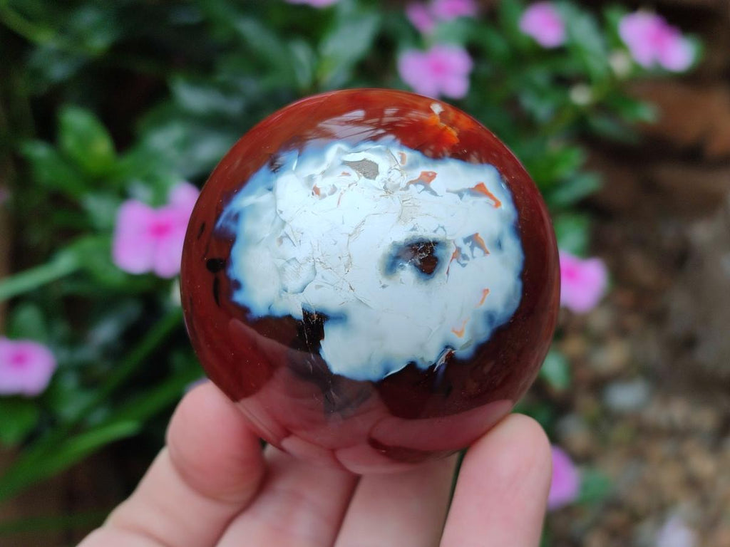 Polished Carnelian Agate Gemstone Spheres x 6 From Madagascar - Toprock Gemstones and Minerals 