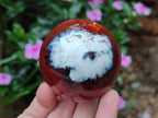 Polished Carnelian Agate Gemstone Spheres x 6 From Madagascar - Toprock Gemstones and Minerals 