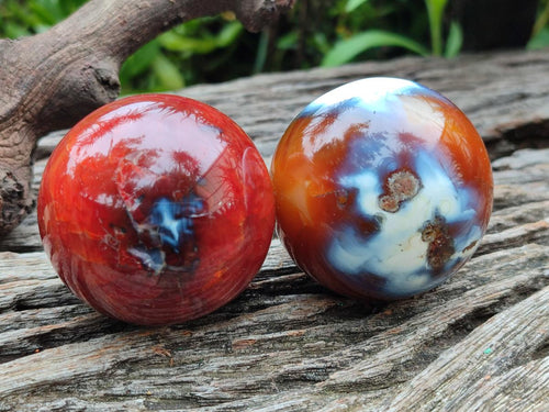 Polished Carnelian Agate Gemstone Spheres x 6 From Madagascar - Toprock Gemstones and Minerals 