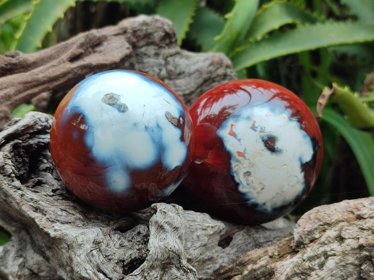 Polished Carnelian Agate Gemstone Spheres x 6 From Madagascar - Toprock Gemstones and Minerals 