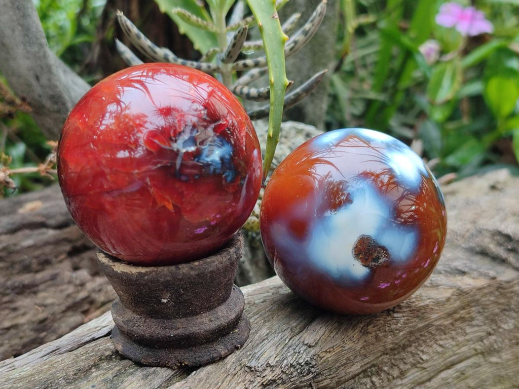 Polished Carnelian Agate Gemstone Spheres x 6 From Madagascar - Toprock Gemstones and Minerals 