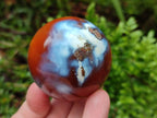 Polished Carnelian Agate Gemstone Spheres x 6 From Madagascar - Toprock Gemstones and Minerals 
