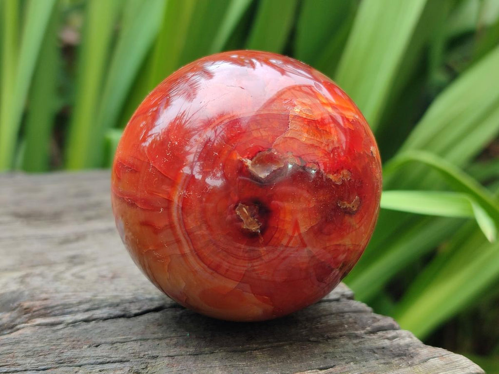 Polished Carnelian Agate Gemstone Spheres x 6 From Madagascar - Toprock Gemstones and Minerals 