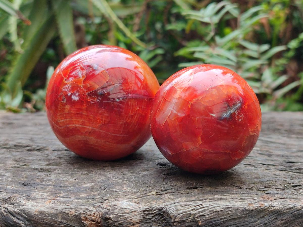 Polished Carnelian Agate Gemstone Spheres x 6 From Madagascar - Toprock Gemstones and Minerals 