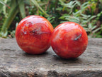 Polished Carnelian Agate Gemstone Spheres x 6 From Madagascar - Toprock Gemstones and Minerals 
