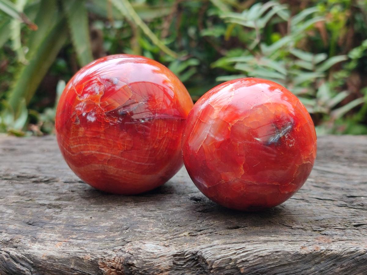 Polished Carnelian Agate Gemstone Spheres x 6 From Madagascar - Toprock Gemstones and Minerals 