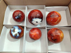 Polished Carnelian Agate Gemstone Spheres x 6 From Madagascar - Toprock Gemstones and Minerals 