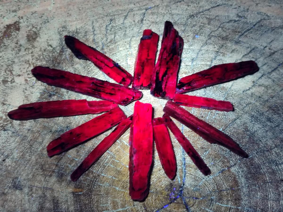 Natural Kyanite Blue Crystals x 1.95 Kg Lot From Karoi, Zimbabwe - Toprock Gemstones and Minerals 