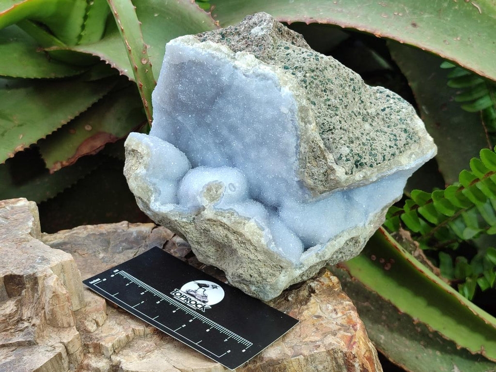 Natural Blue Lace Agate Specimens x 2 From Nsanje, Malawi - Toprock Gemstones and Minerals 