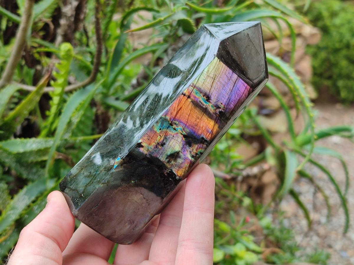 Polished Labradorite Display Crystals x 3 From Madagascar - Toprock Gemstones and Minerals 