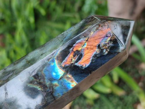 Polished Labradorite Display Crystals x 3 From Madagascar - Toprock Gemstones and Minerals 