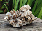Natural Rhombohedral and Spearhead Calcite Specimens with Phosphorus Aragonite x 2 From Albert's Mountain, Lesotho - Toprock Gemstones and Minerals 