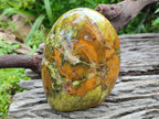 Polished Green Opal Standing Display Pieces x 2 From Betroka, Madagascar - Toprock Gemstones and Minerals 
