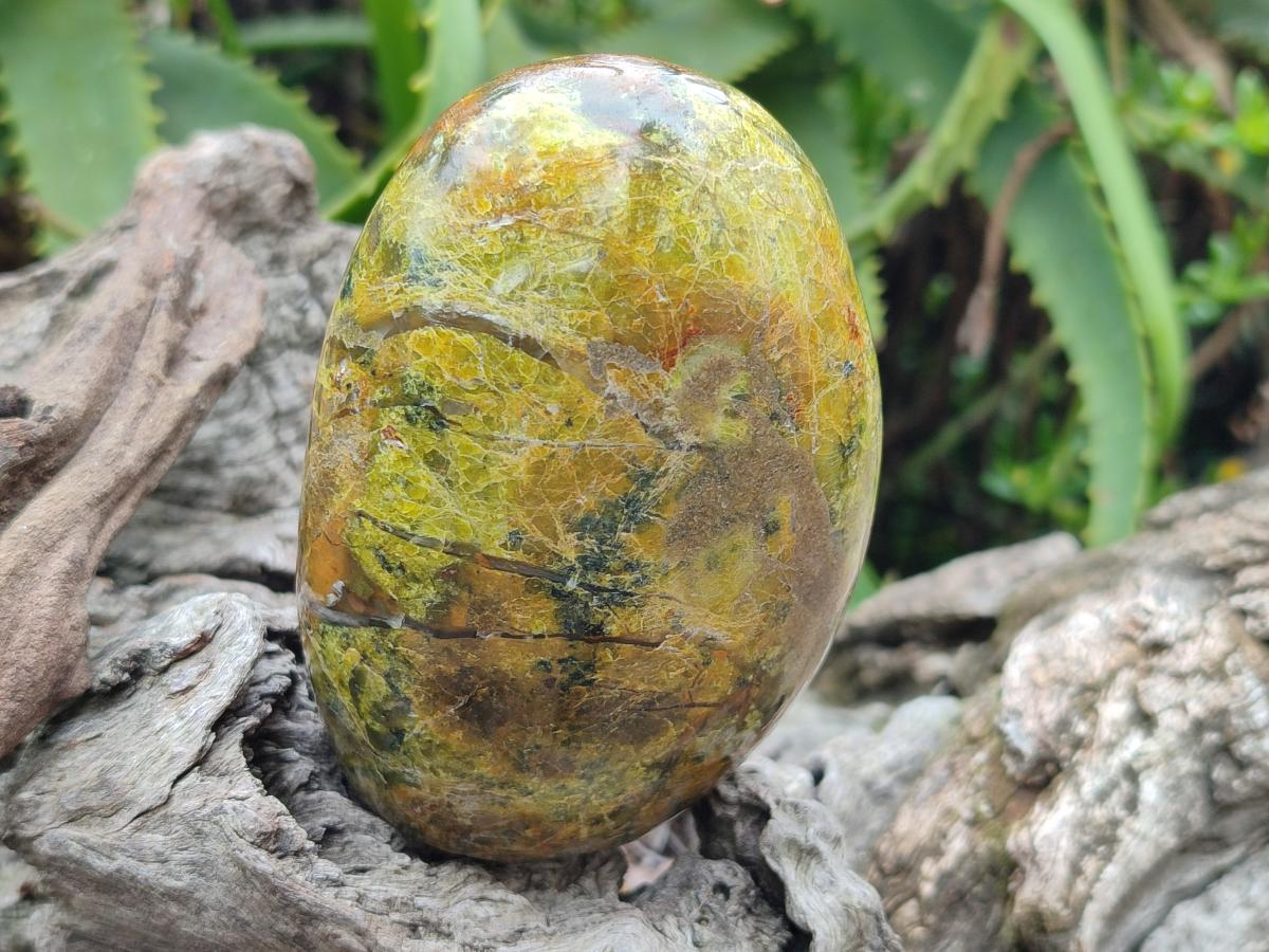 Polished Green Opal Standing Display Pieces x 2 From Betroka, Madagascar - Toprock Gemstones and Minerals 