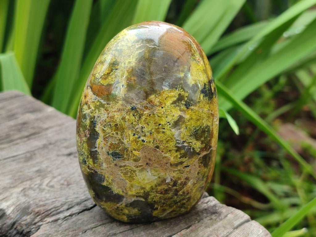 Polished Green Opal Standing Display Pieces x 2 From Betroka, Madagascar - Toprock Gemstones and Minerals 