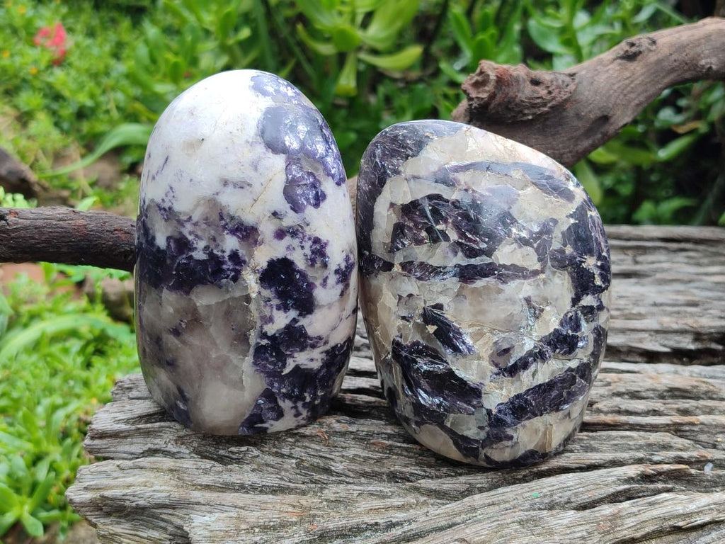 Polished Silver Leaf Lepidolite Standing Display Pieces x 3 From Zimbabwe - Toprock Gemstones and Minerals 