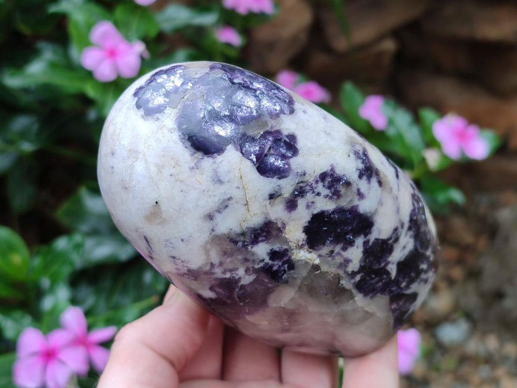 Polished Silver Leaf Lepidolite Standing Display Pieces x 3 From Zimbabwe - Toprock Gemstones and Minerals 